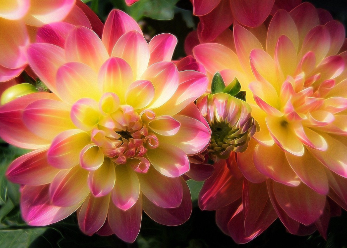 全网解答“衡阳竞技有没有透视软件挂”(其实确实有挂)-知乎