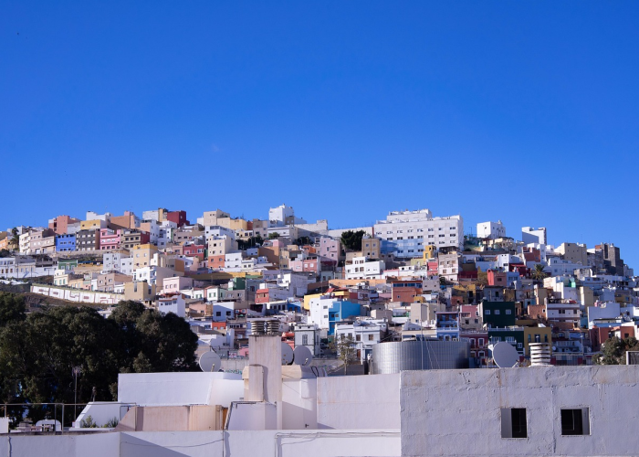 十大分享“新毛豆开挂辅助神器”(原来开挂有猫腻)-知乎 十大分享“新毛豆开挂辅助神器”(原来开挂有猫腻)-知乎