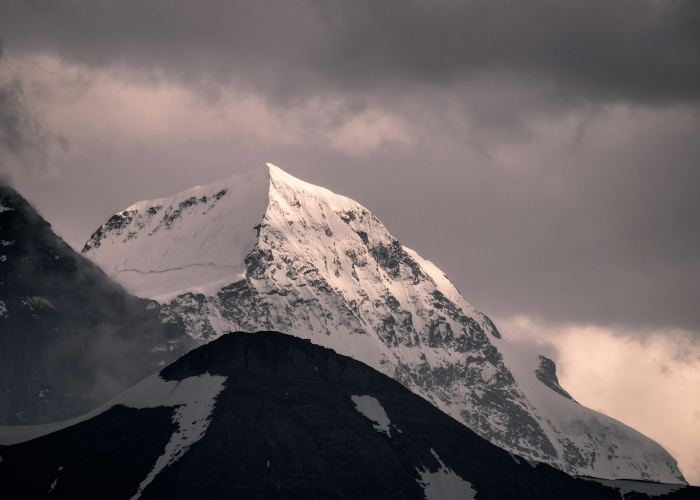 盘点十大“牵手跑胡子是不是有透视挂”(确实能开挂)-知乎