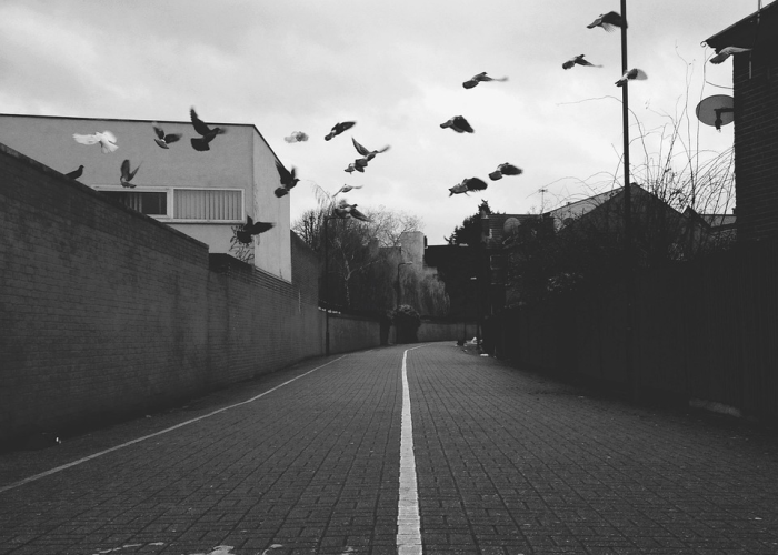 春节返乡指南，2022年高速公路免费通行时间及行车攻略