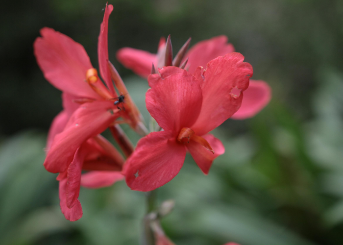 无锡疫情通报最新消息，动态清零进行时，市民生活平稳有序