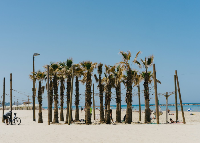 河北故城，疫情下的坚韧与温情