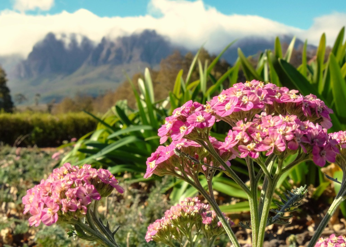 航班动态准不准？实测飞常准的准确性与使用技巧