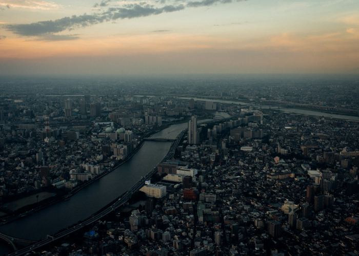 玩家实测“大树下汕尾麻将到底有没有透视挂”(确实有开挂)-知乎 玩家实测“大树下汕尾麻将到底有没有透视挂”(确实有开挂)-知乎