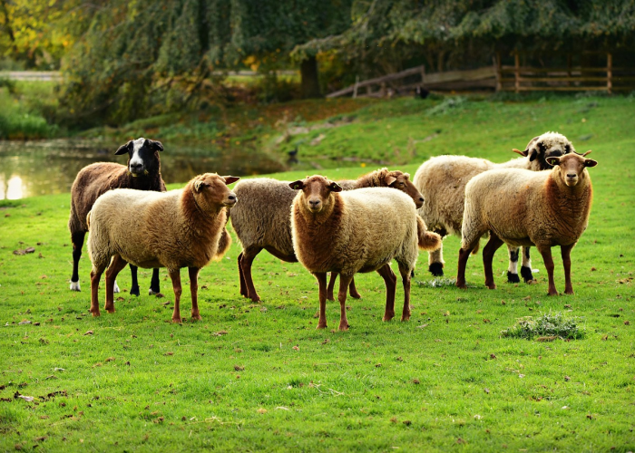 青岛新增2例本土确诊病例，防控措施迅速升级