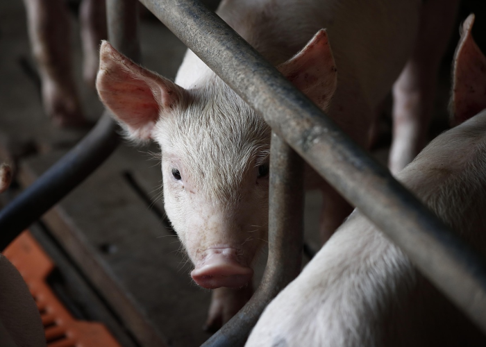 全网解答“心悦麻将透视挂真的假的”(辅助开挂教程)-知乎