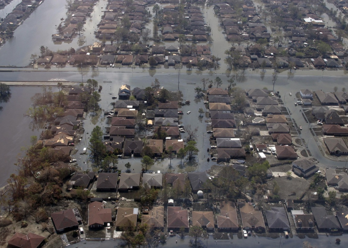 玩家分享攻略“新卡农有没有透视开挂”(真实可以装挂)-知乎