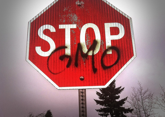 当警报拉响，WHO宣布新冠全球大流行的那一天，世界如何被改变