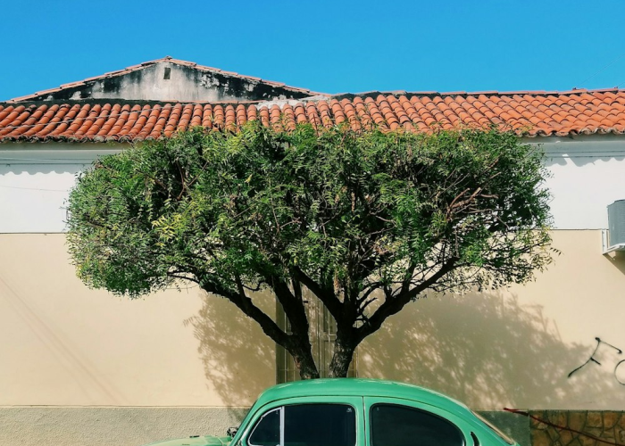 经验分享“决战武穴麻将是不是有透视挂”(开挂透视教程)-知乎