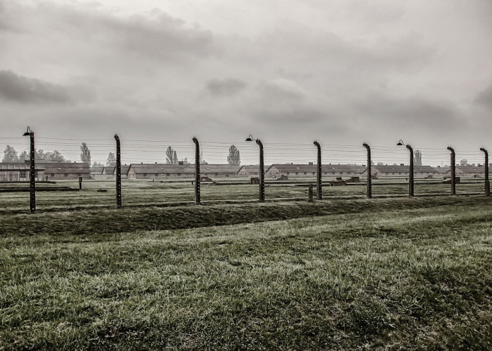 【重大报道】“决战武穴麻将透视挂辅助”(原来开挂有猫腻)-知乎