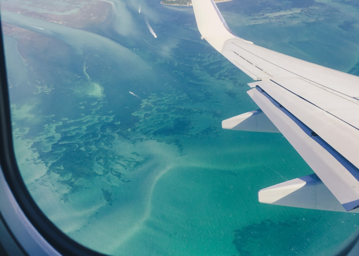 十大分享“皇冠十三水透视软件挂”(详细开挂猫腻)-知乎