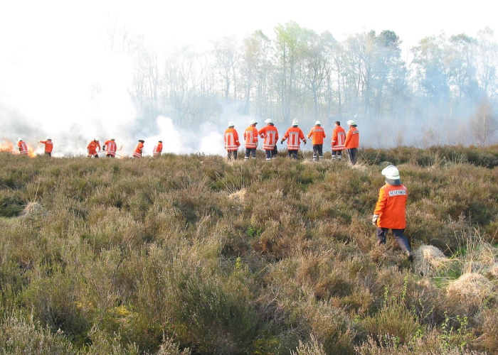 详细了解“丽水都莱究竟怎么透视”(确实有开挂)-知乎