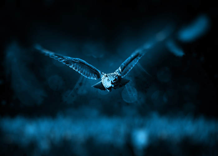 全网解答“边锋斗地主有没有开挂透视”(真实可以装挂)-知乎