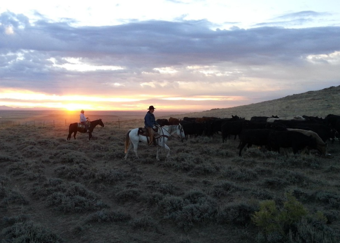 草原国门，恐龙故里，内蒙古二连浩特市简介
