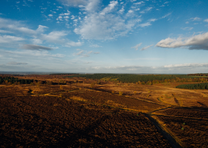 宁波北仑区，与时间赛跑的病毒阻击战