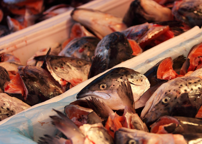 玩家实测“老友十三水能怎么开挂”(详细开挂教程)-知乎