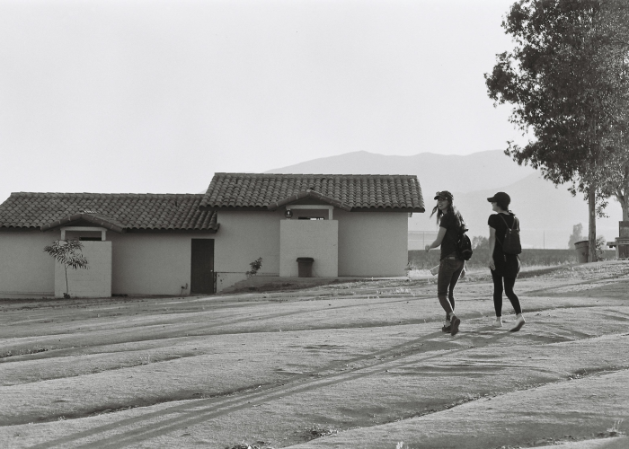 当青春与国运共振,全国大学生大运会的时间密码 当青春与国运共振,全国大学生大运会的时间密码