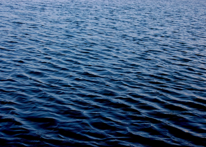 五莲新增一例，平静湖面下的涟漪与城市免疫力的考验