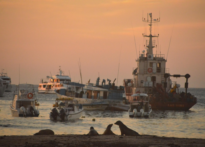 【重大报道】“福州十八扑透视挂神器”(原来开挂有猫腻)-知乎