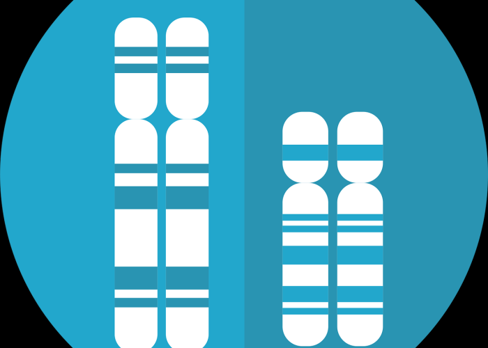 实测普及“运徕有没有挂”(千真万确有挂)-知乎