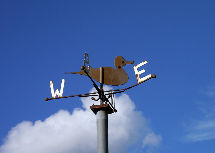 冬奥会直播回放完整版在哪里看？这份全网最全指南请收好