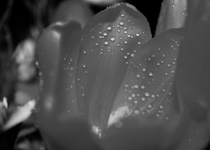 数字背后，54万条生命与一个国家的创伤