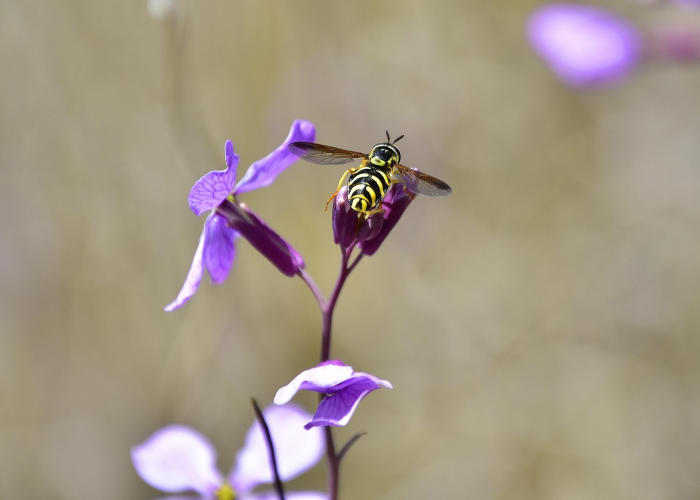 浙江新增本土77例，精准防控下的动态清零进行时