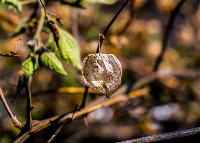 河南第二轮核酸检测，千万人同心，筑起一道动态清零的防火墙