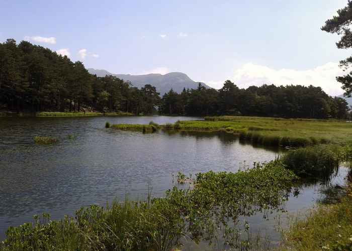 惊人内幕“兴动互娱有没有挂”(其实有开挂方法)-知乎 惊人内幕“兴动互娱有没有挂”(其实有开挂方法)-知乎
