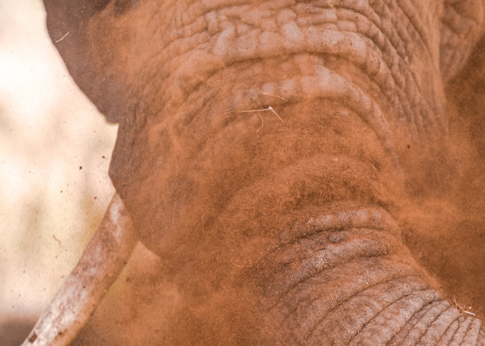 成都限行再收紧，2020年7月6日起，这些变化与你息息相关