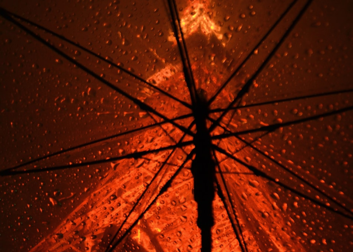 中石油92号汽油今日价格解读，市场动态与消费者指南