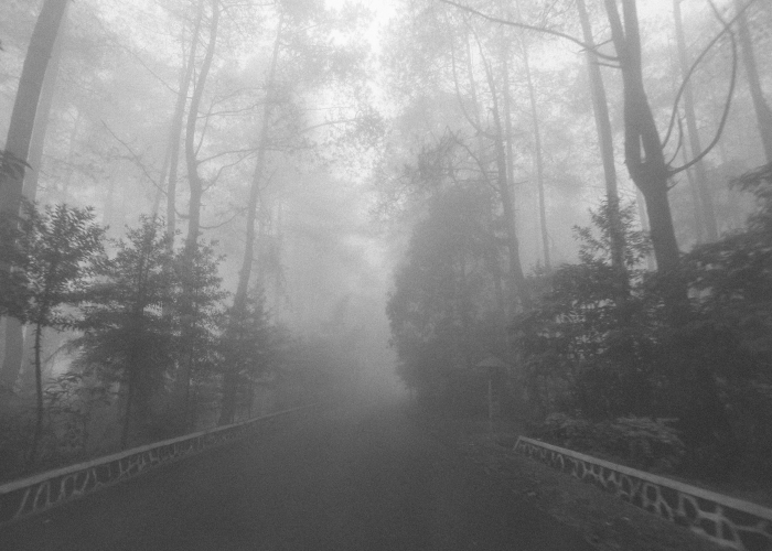 印度变异株有救吗？科学、疫苗与人类韧性的三重奏