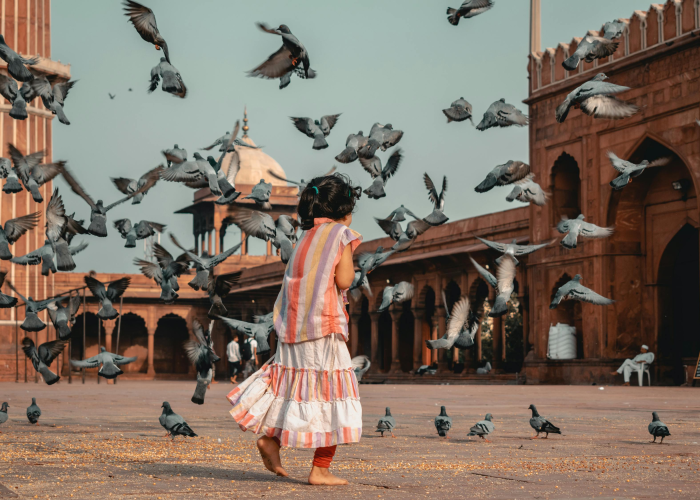 大神推荐“竞技联盟德州开挂透视有吗”(原来确实是有插件)-知乎