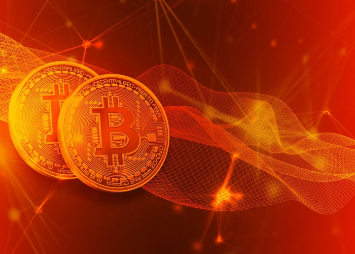 核酸与返渝，时代褶皱里的归途密码