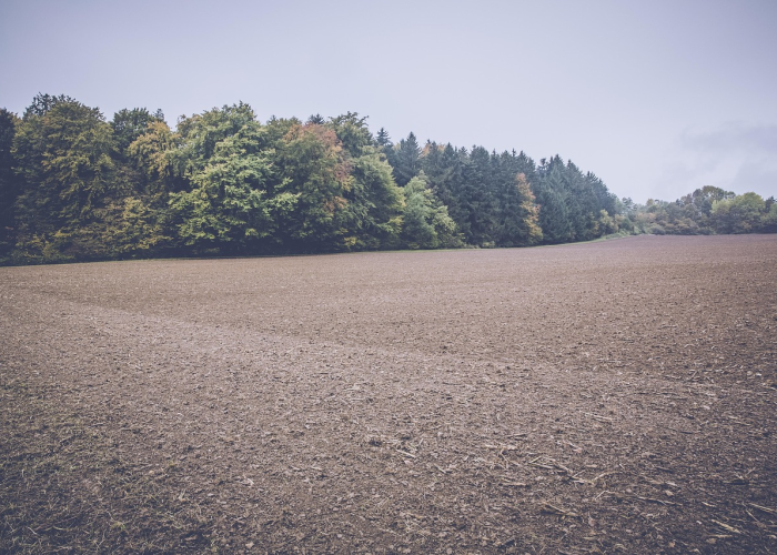 「重大科普」“新战皇到底有没有挂”(详细开挂猫腻)-知乎