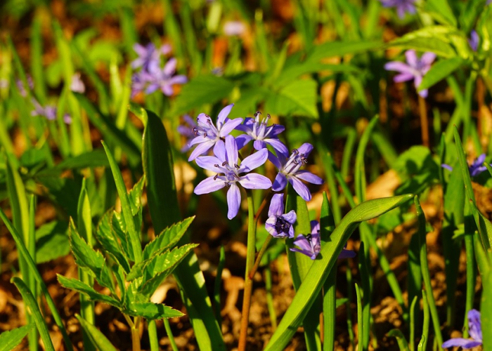 玩家必看“空谷幽兰透视软件教程”(透视详细教程)-知乎