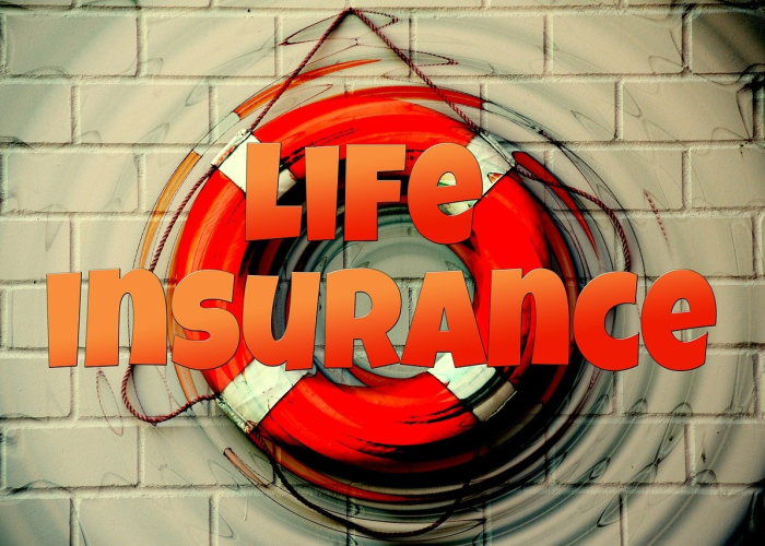 2025年春运大幕何时开启？这份出行安全提醒请提前查收