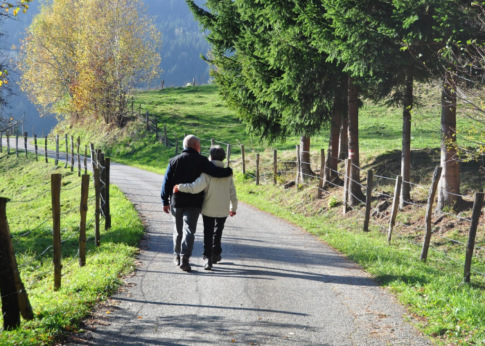 分享苹果版“熊猫竟技究竟怎么透视”(详细开挂猫腻)-知乎
