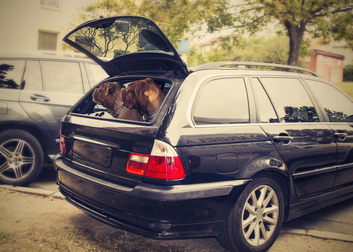 纯电动汽车十大名牌排名及价格解析，吉利极氪如何突围？