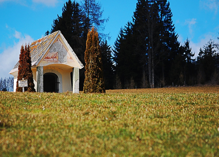 新疆严肃通报疫情处理不力干部 以严格问责筑牢防控纪律防线 新疆严肃通报疫情处理不力干部 以严格问责筑牢防控纪律防线