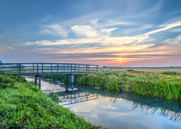 给牌友讲解“点点麻将有没有辅助挂”(开挂透视方法)-知乎