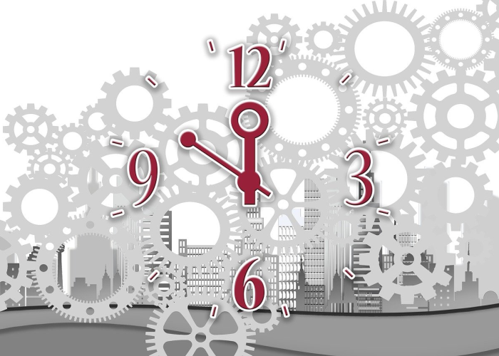 镇海区15天，一座滨海新城的韧性生长与时间哲学