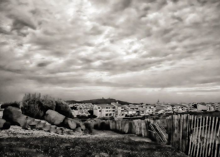 哈尔滨封城，76天的寂静与复苏