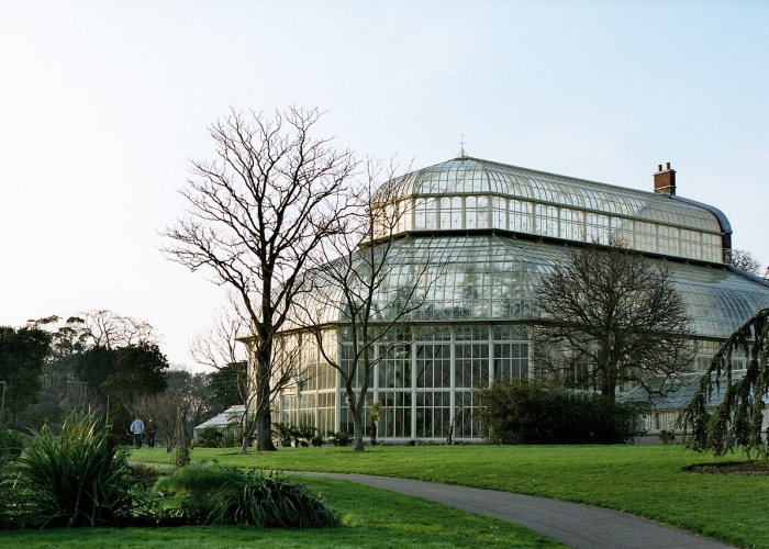 大神推荐“小甘麻将可以透视开挂吗”(原来确实是有插件)-知乎