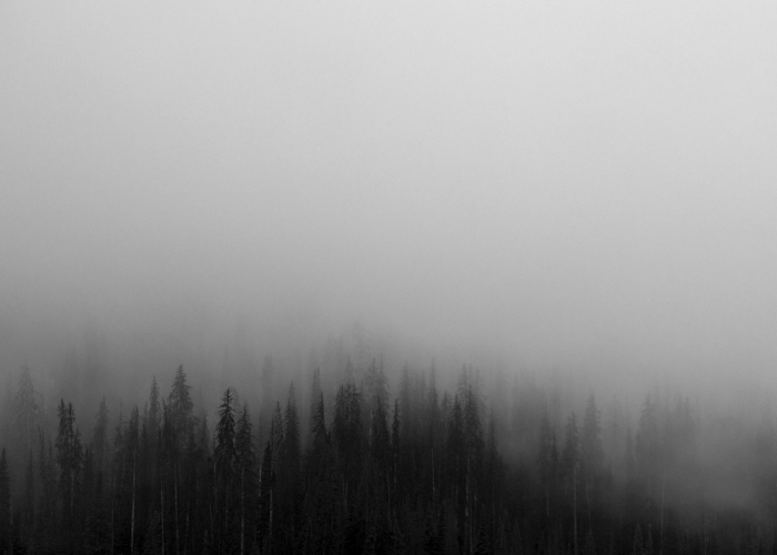 十大通报“顺欣茶楼有没有辅助挂”(其实确实有挂)-知乎 十大通报“顺欣茶楼有没有辅助挂”(其实确实有挂)-知乎