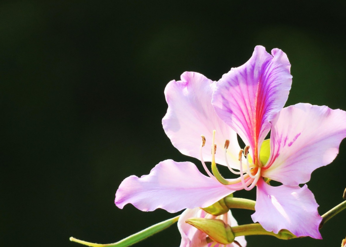 玩家实测“大唐麻将开挂透视有吗”(其实确实有挂)-知乎
