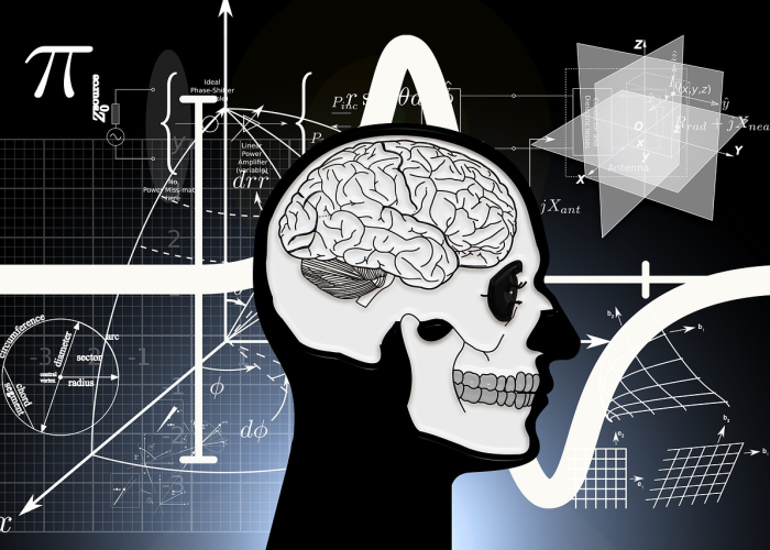 死亡人数超36人，一个数字背后的制度拷问与文明底线
