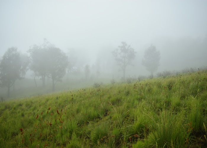以大地为纸，以汗水为墨，吉林农业科技学院的田野交响曲