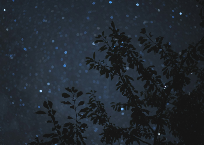 2022.2.4，立春之夜，一朵雪花如何点亮我们的世界