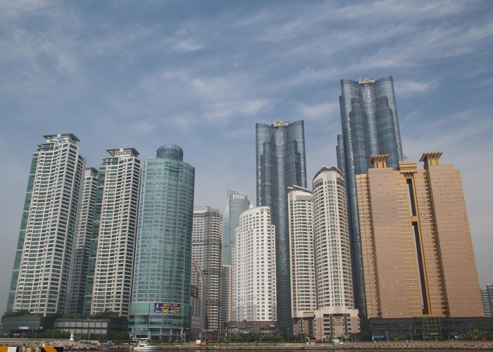 详细了解“新海贝之城有没有透视辅助”(确实有开挂)-知乎 详细了解“新海贝之城有没有透视辅助”(确实有开挂)-知乎